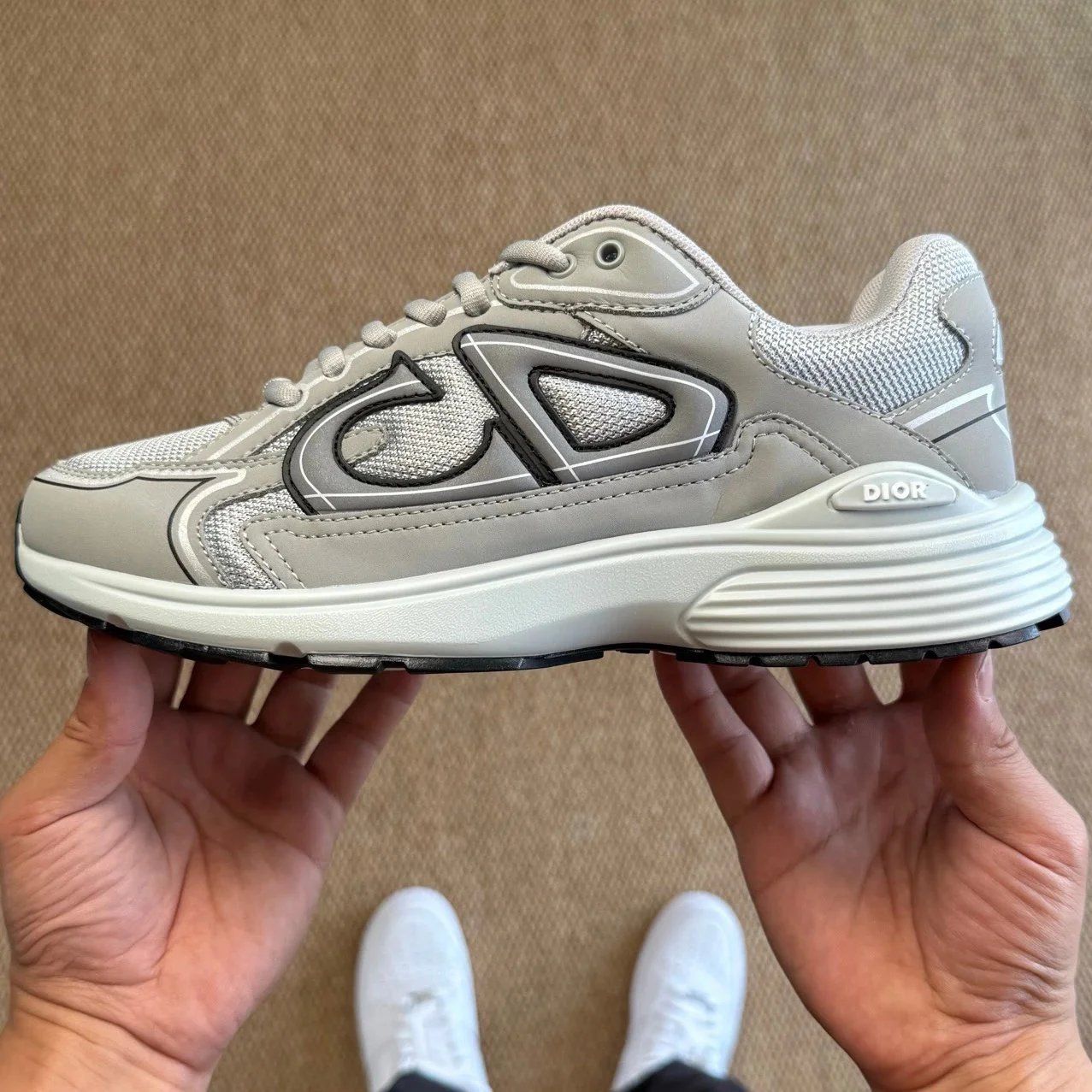 Dior B30 Sneaker Grey Shoes