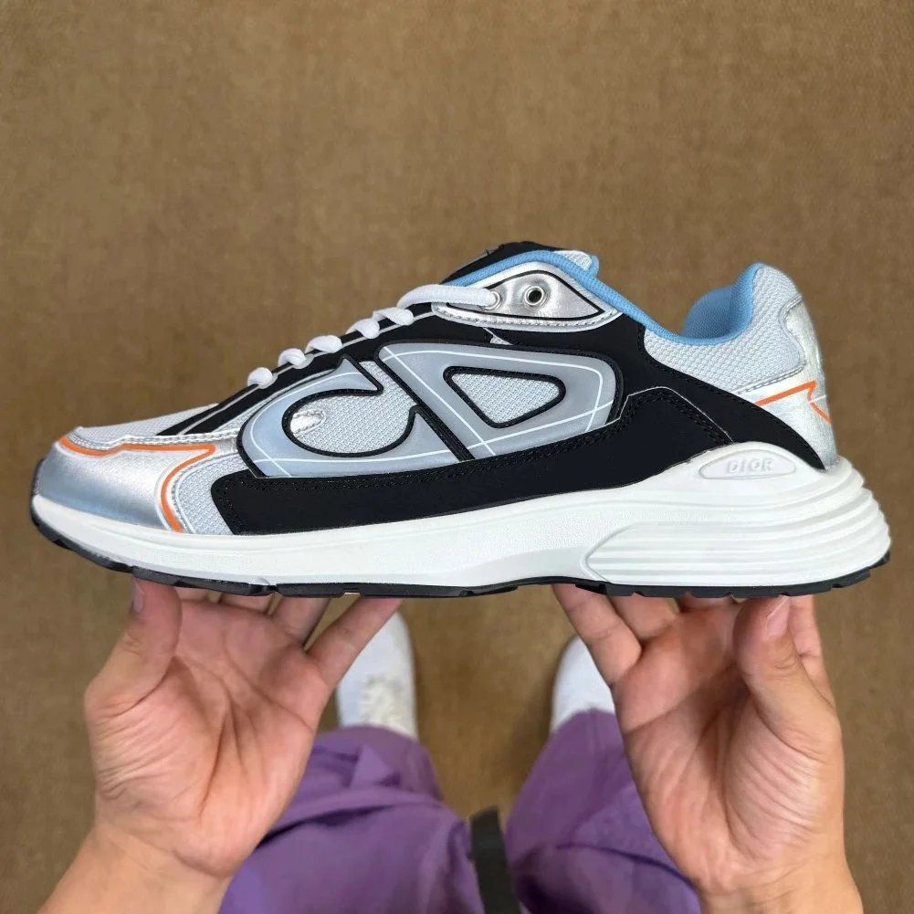 Dior B30 Sneaker Silver Shoes