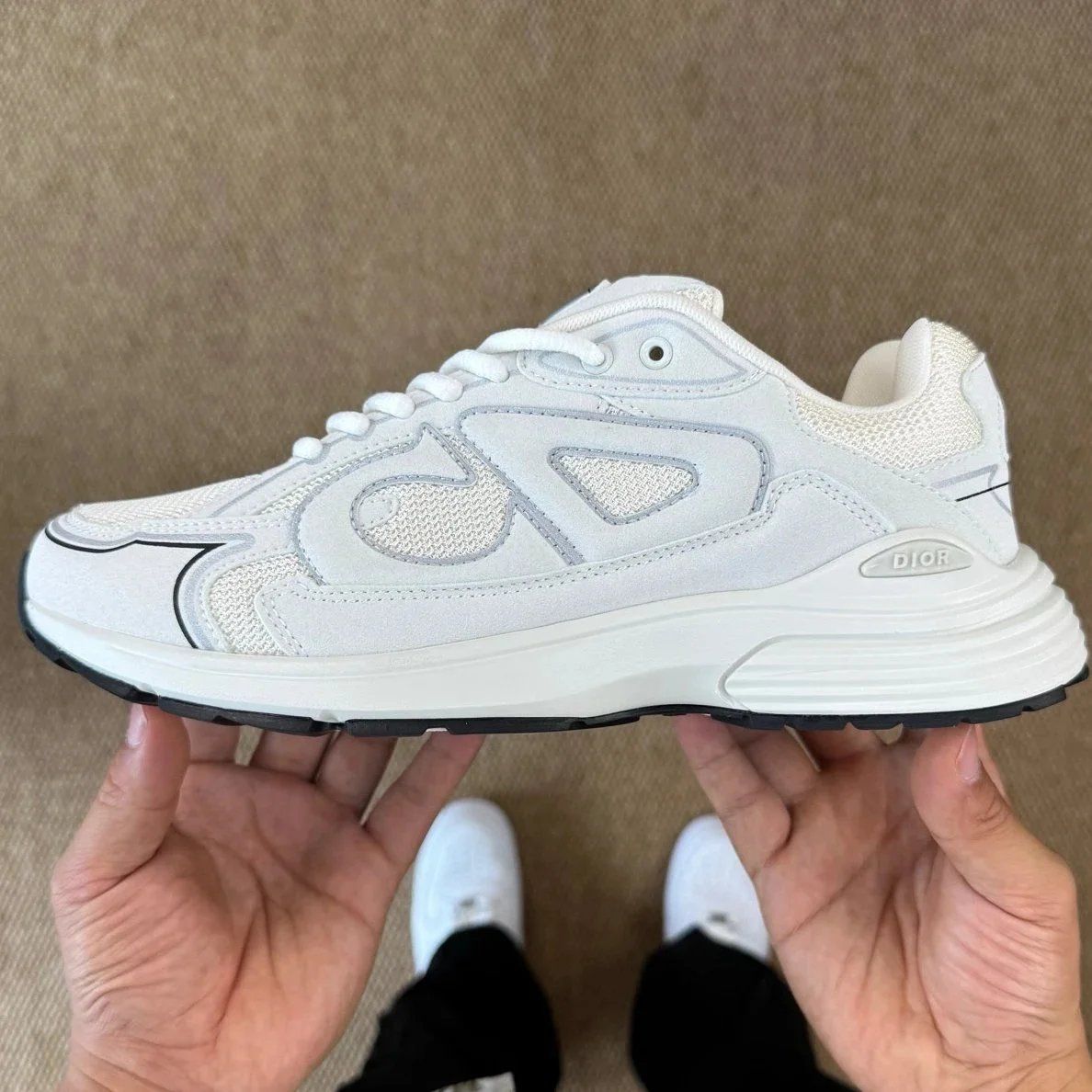 Dior B30 Sneaker White Shoes