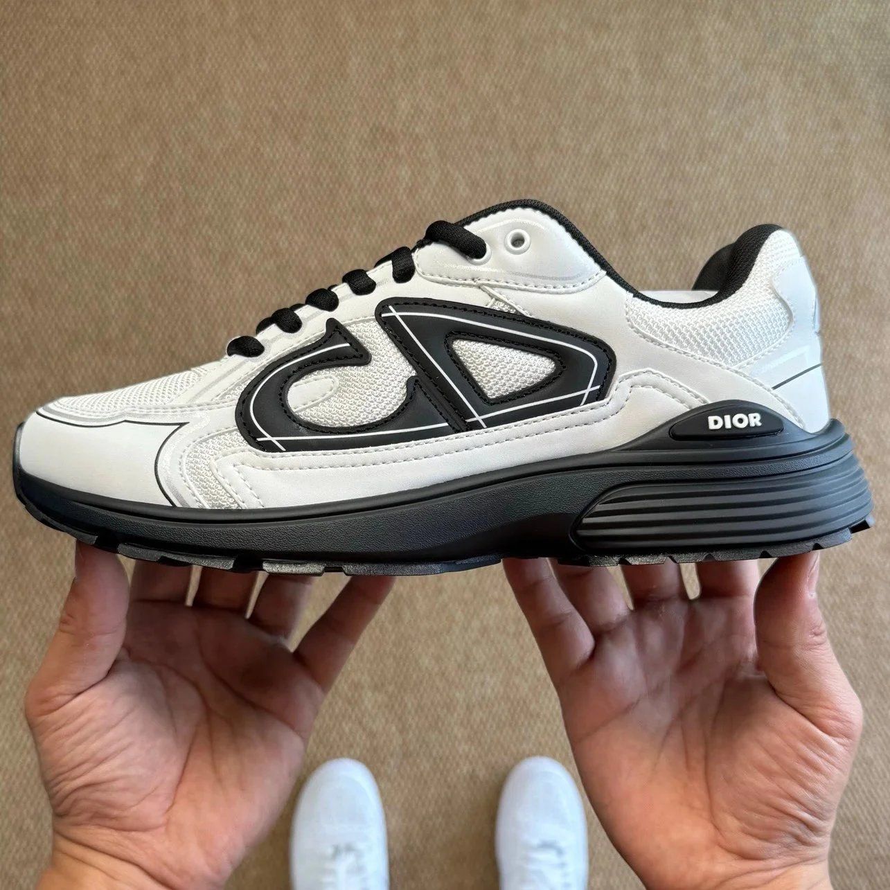 Dior B30 Sneaker White Shoes