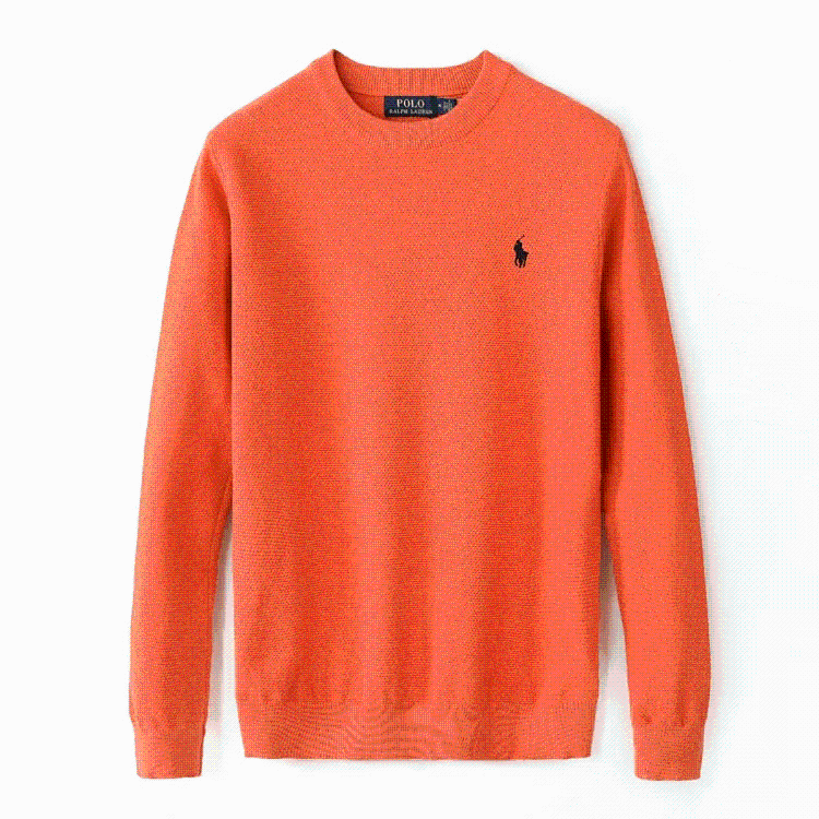 Paul Ralph Lauren round neck net color sweater